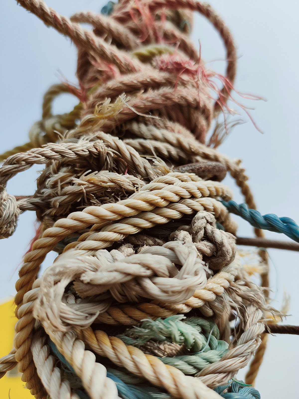 Knot web